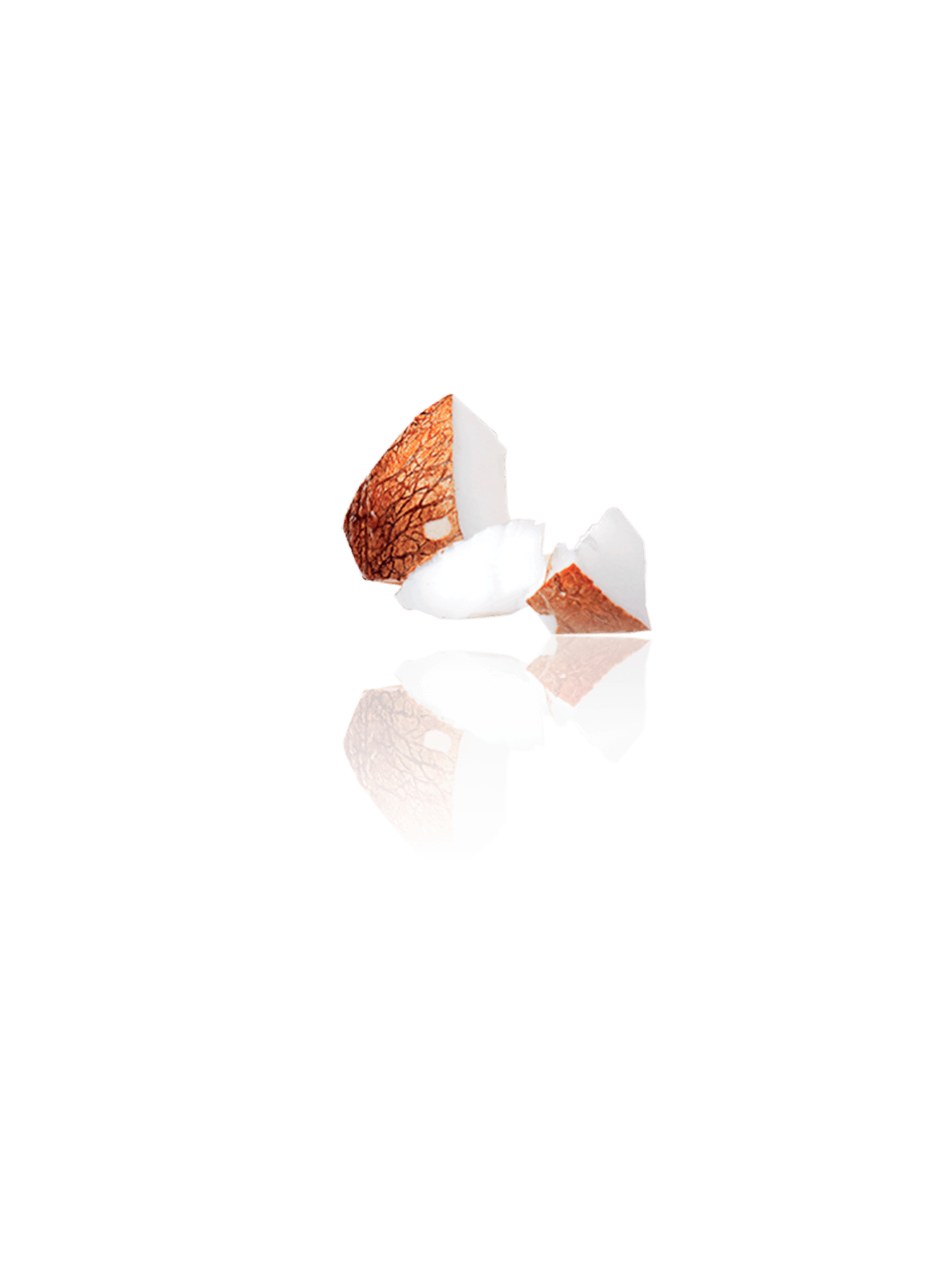 Nutri Bomb Tissu Mask